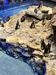 すみだ水族館に投稿された画像（2026/6/28）