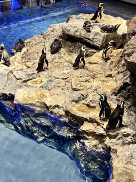 すみだ水族館に投稿された画像（2026/6/28）