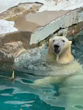 天王寺動物園に投稿された画像（2026/6/28）