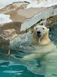 天王寺動物園に投稿された画像（2026/6/28）