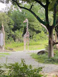 天王寺動物園に投稿された画像（2026/6/28）