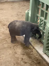 天王寺動物園に投稿された画像（2026/6/28）