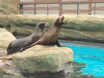 天王寺動物園に投稿された画像（2026/6/28）