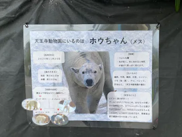 天王寺動物園に投稿された画像（2026/6/28）