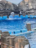 名古屋港水族館に投稿された画像（2026/6/28）