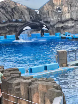 名古屋港水族館に投稿された画像（2026/6/28）