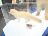 ミュージアムパーク茨城県自然博物館に投稿された画像（2026/6/28）