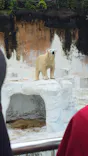 天王寺動物園に投稿された画像（2026/6/28）