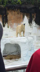 天王寺動物園に投稿された画像（2026/6/28）