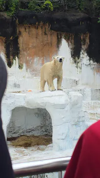 天王寺動物園に投稿された画像（2026/6/28）