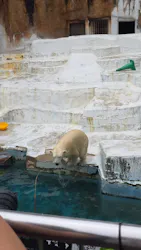 天王寺動物園に投稿された画像（2026/6/28）
