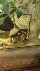 天王寺動物園に投稿された画像（2026/6/28）