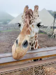 伊豆シャボテン動物公園に投稿された画像（2026/6/29）