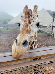 伊豆シャボテン動物公園に投稿された画像（2026/6/28）