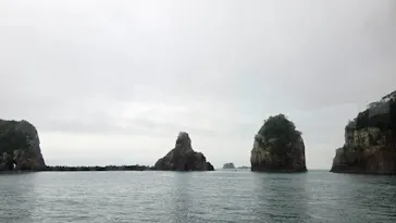 紀の松島めぐりに投稿された画像（2026/6/28）