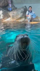 大分マリーンパレス水族館 「うみたまご」に投稿された画像（2026/6/28）