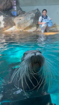大分マリーンパレス水族館 「うみたまご」に投稿された画像（2026/6/28）