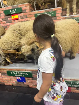 マザー牧場に投稿された画像（2026/6/28）