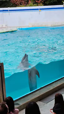 しながわ水族館に投稿された画像（2026/6/28）