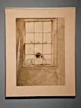 東京都美術館開館100周年記念　アンドリュー・ワイエス展に投稿された画像（2026/6/29）