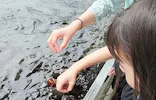 世界淡水魚園水族館　アクア・トトぎふに投稿された画像（2026/6/29）