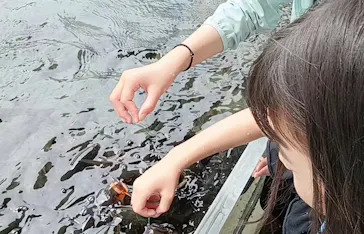 世界淡水魚園水族館　アクア・トトぎふに投稿された画像（2026/6/28）