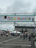 ZENSHOO Presents DOG Marcheに投稿された画像（2026/6/29）