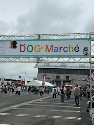 ZENSHOO Presents DOG Marcheに投稿された画像（2026/6/28）