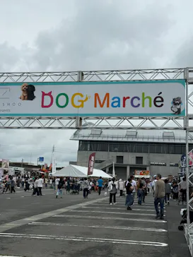 ZENSHOO Presents DOG Marcheに投稿された画像（2026/6/28）