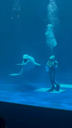 島根県立 しまね海洋館に投稿された画像（2026/6/29）