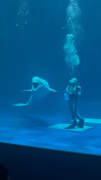 島根県立 しまね海洋館に投稿された画像（2026/6/29）