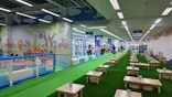 キッズランドUS 茨城常総店に投稿された画像（2026/6/29）
