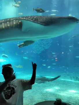 沖縄美ら海水族館に投稿された画像（2026/6/29）