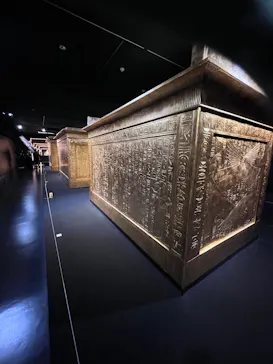 MYSTERY OF TUTANKHAMEN 体感型古代エジプト展に投稿された画像（2026/6/29）