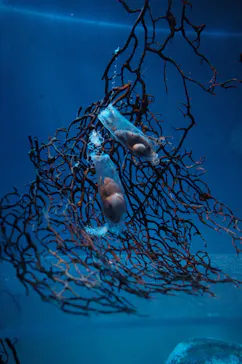 アクアワールド茨城県大洗水族館に投稿された画像（2026/6/29）