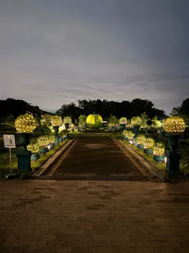 BOTANICA MUSEUMに投稿された画像（2026/6/29）
