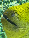 サンシャイン水族館に投稿された画像（2026/6/29）