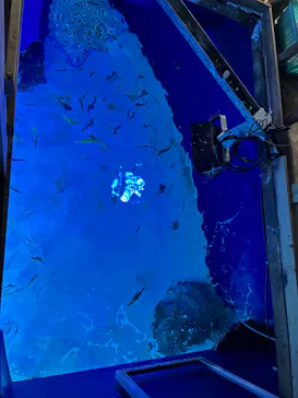 サンシャイン水族館に投稿された画像（2026/6/29）