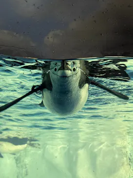 名古屋港水族館に投稿された画像（2026/6/29）