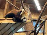 伊豆シャボテン動物公園に投稿された画像（2026/6/29）