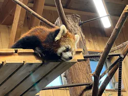 伊豆シャボテン動物公園に投稿された画像（2026/6/29）