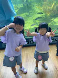 滋賀県立琵琶湖博物館に投稿された画像（2026/6/29）