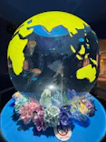 しながわ水族館に投稿された画像（2026/6/29）