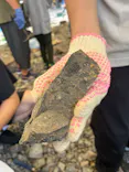福井県立恐竜博物館に投稿された画像（2026/6/29）