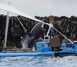 名古屋港水族館に投稿された画像（2026/6/29）
