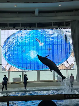 アクアワールド茨城県大洗水族館に投稿された画像（2026/6/29）