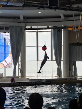 アクアワールド茨城県大洗水族館に投稿された画像（2026/6/29）
