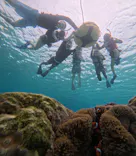 OCEAN LIFE 宮古島に投稿された画像（2026/6/30）