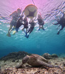 OCEAN LIFE 宮古島に投稿された画像（2026/6/29）