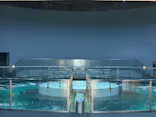城崎マリンワールドに投稿された画像（2026/6/30）